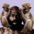 KimbosLice